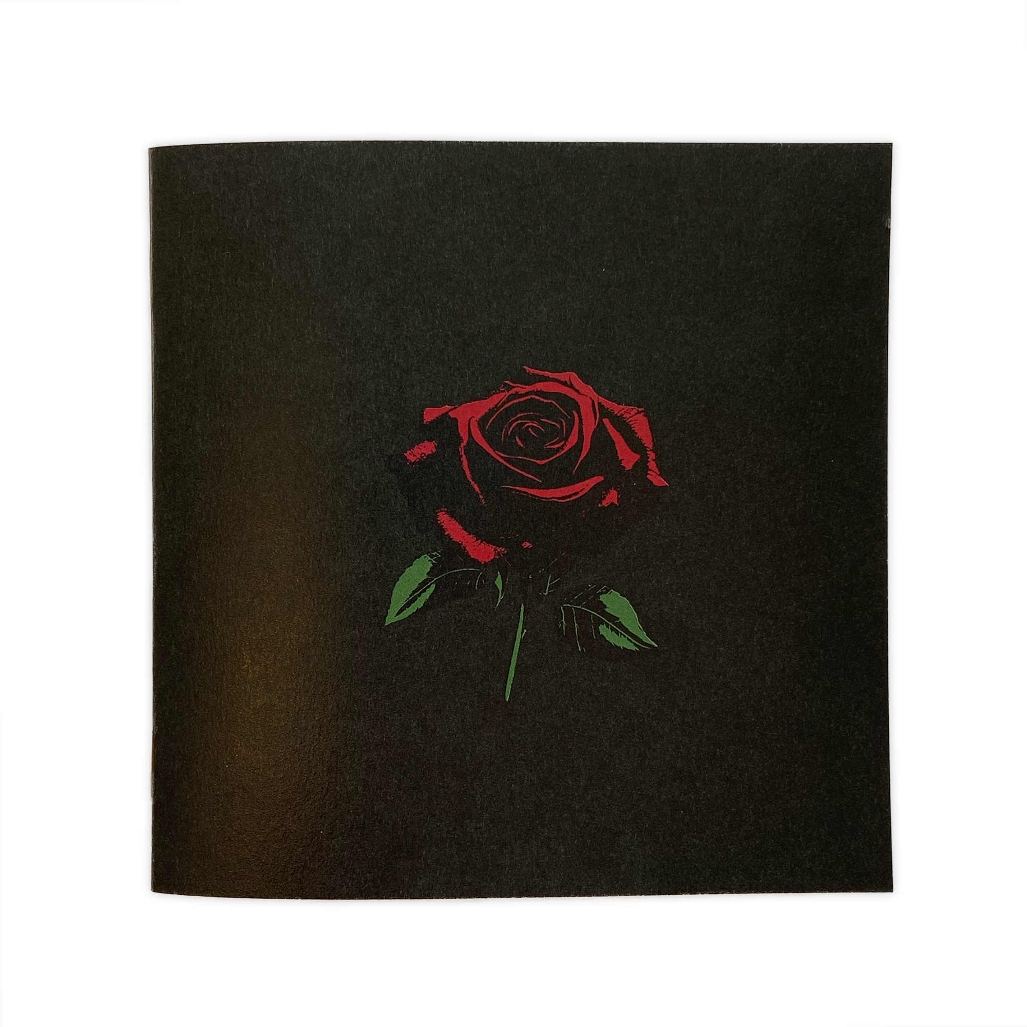 "A Stoned Rose" Limited Booklet with Obi (Zine)
